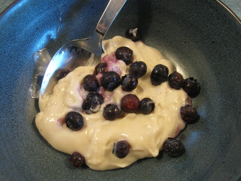 GLUTEN FREE VANILLA PUDDING WITH MIMICCREAM  Gluten Free Delightfully  